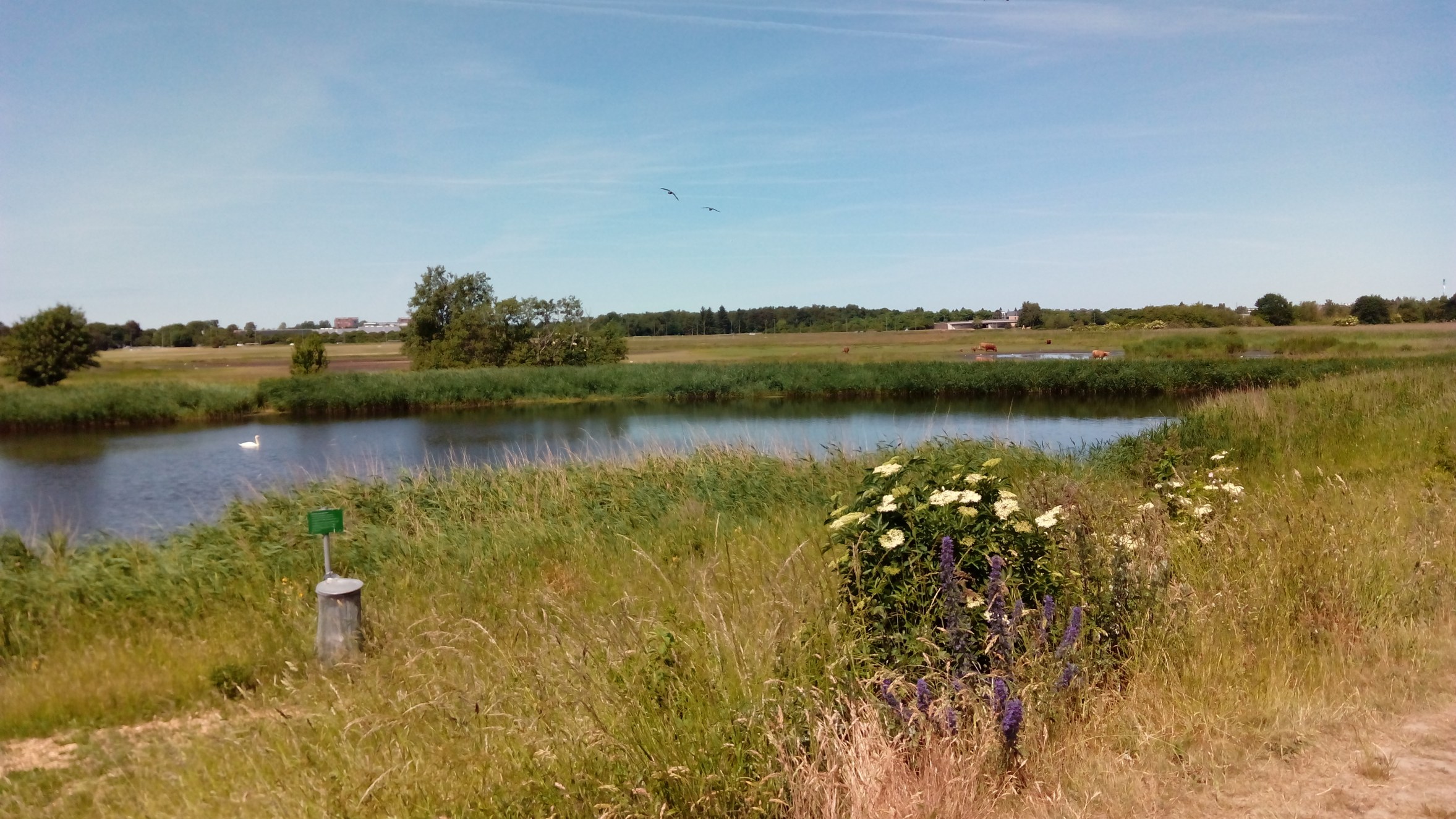 Südlich von Kopenhagen ist das Naturschutzgebiet Kalvebod Faelled